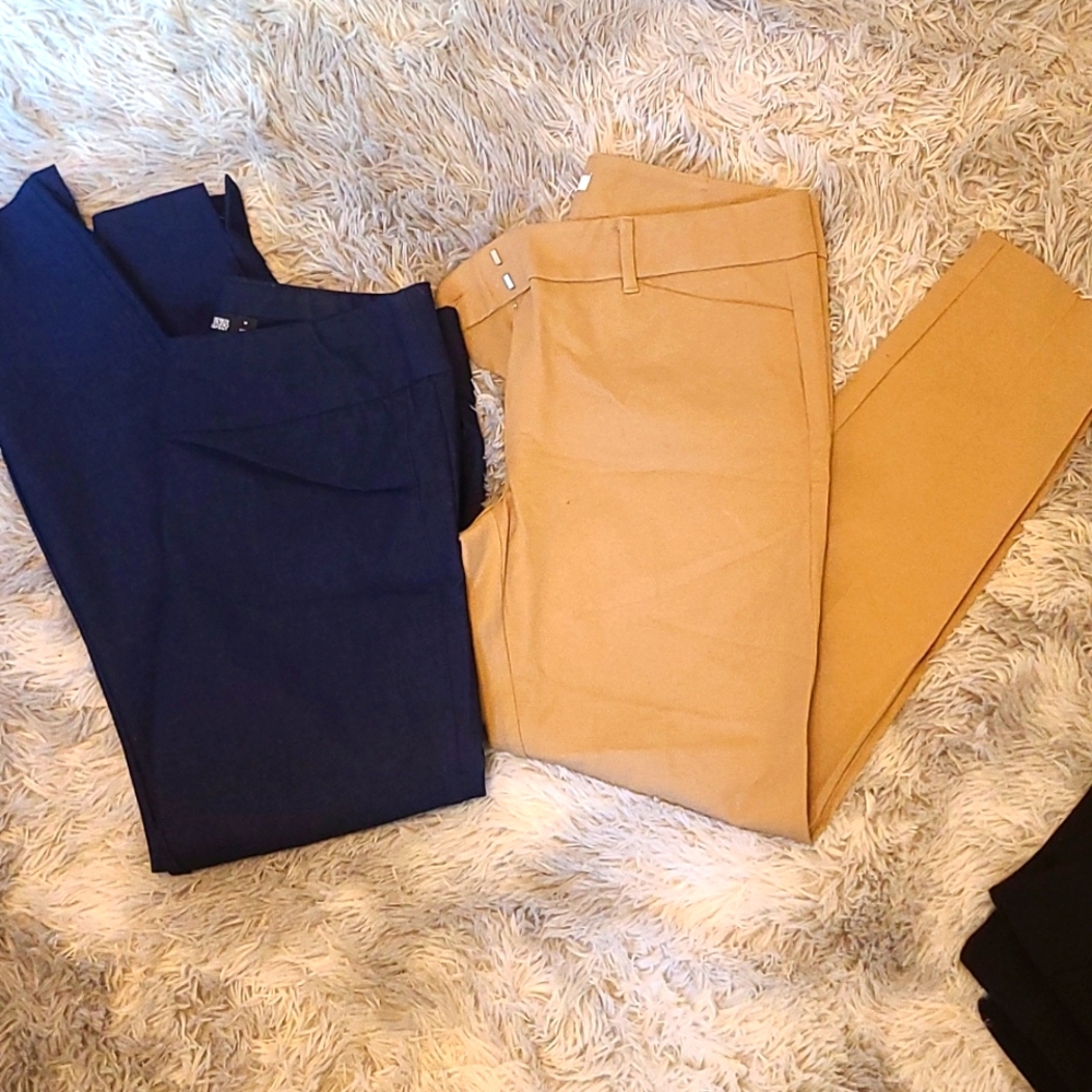2 pair of New York and company ankle pants